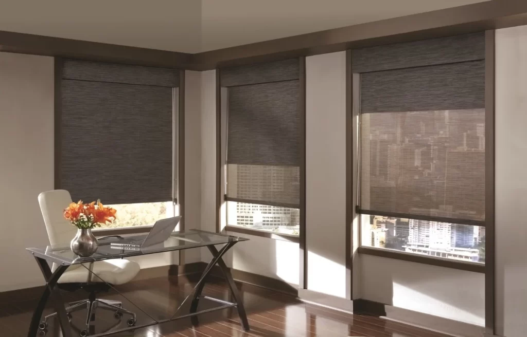 Roller Dual Shade Blinds