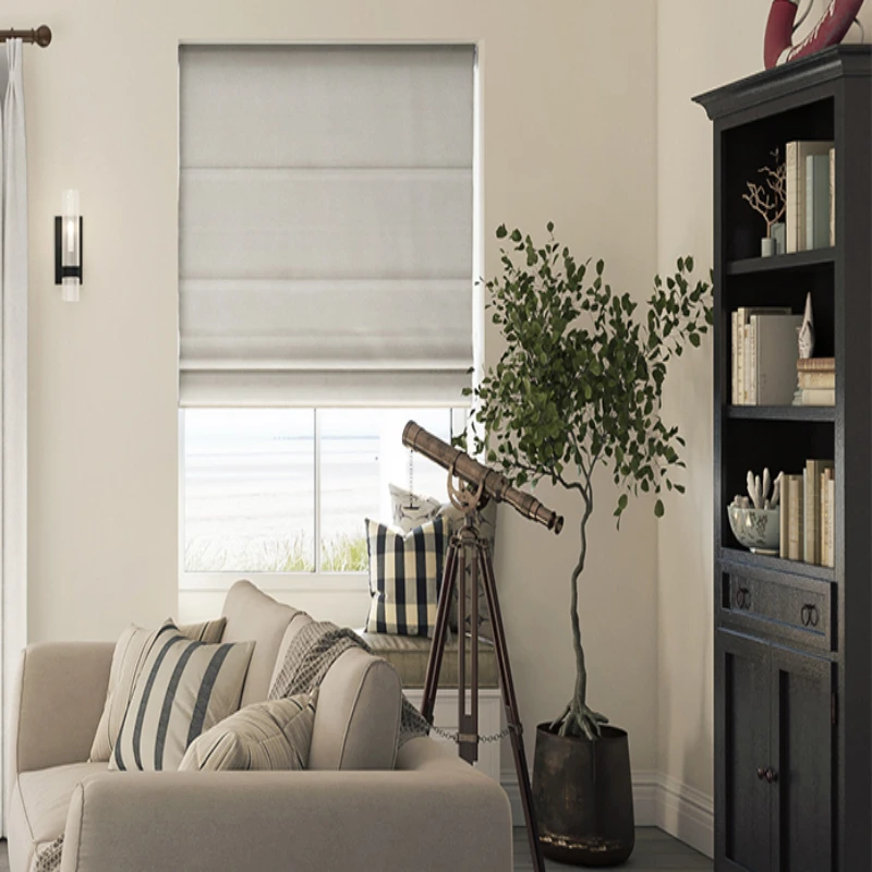 Coastal-themed living room with a window covered with a light gray Roman shade, a telescope, a plant, and a bookshelf